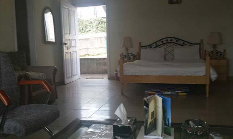 Deluxe Queen Room E-1