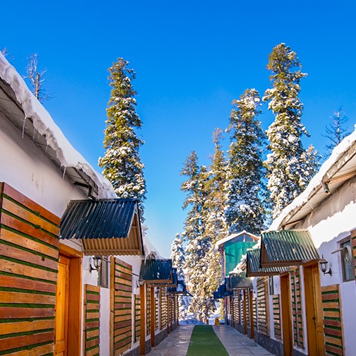 Alpine Hotel & Resort