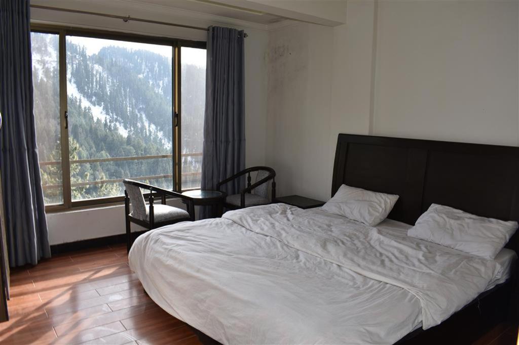 Suite Room