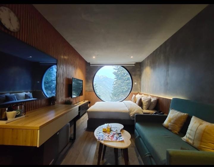 Loft Without Balcony
